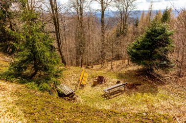 Thüringen Ormanı 'ndan geçen bahar yürüyüşü Floh-Seligenthal - Thüringen - Almanya
