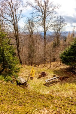 Thüringen Ormanı 'ndan geçen bahar yürüyüşü Floh-Seligenthal - Thüringen - Almanya