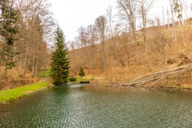 Thüringen Ormanı 'ndan geçen bahar yürüyüşü Floh-Seligenthal - Thüringen - Almanya