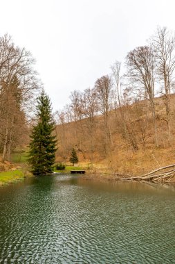 Thüringen Ormanı 'ndan geçen bahar yürüyüşü Floh-Seligenthal - Thüringen - Almanya
