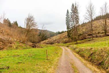 Thüringen Ormanı 'ndan geçen bahar yürüyüşü Floh-Seligenthal - Thüringen - Almanya