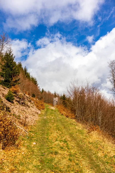 Voorjaarswandeling Door Het Thüringer Woud Bij Floh Seligenthal Thüringen Duitsland — Stockfoto