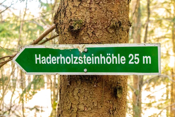 Thüringen Ormanı 'ndan geçen bahar yürüyüşü Floh-Seligenthal - Thüringen - Almanya