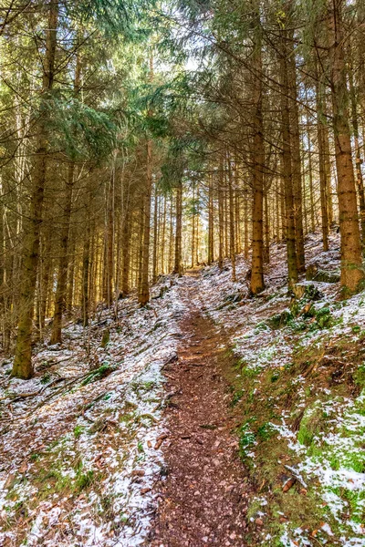 Spring Hike Thuringian Forest Floh Seligenthal Thuringia Germany — Stock Photo, Image