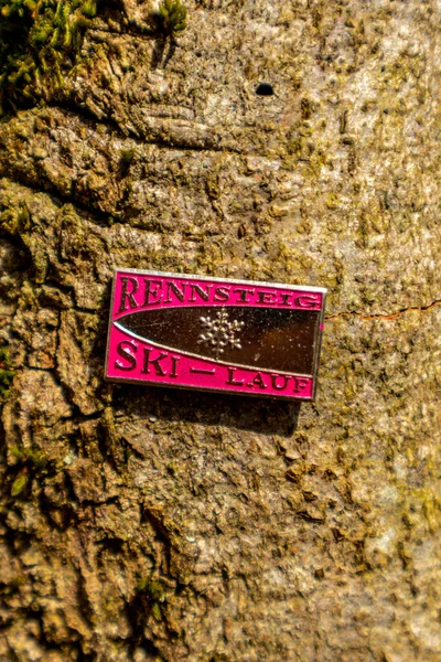 Thüringen Ormanı 'ndan geçen bahar yürüyüşü Floh-Seligenthal - Thüringen - Almanya