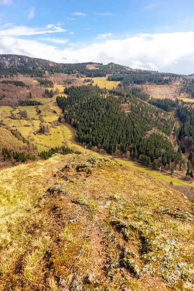 Thüringen Ormanı 'ndan geçen bahar yürüyüşü Floh-Seligenthal - Thüringen - Almanya