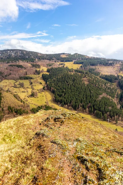 Caminata Primavera Por Bosque Turingia Cerca Floh Seligenthal Turingia Alemania — Foto de Stock