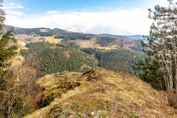 Thüringen Ormanı 'ndan geçen bahar yürüyüşü Floh-Seligenthal - Thüringen - Almanya