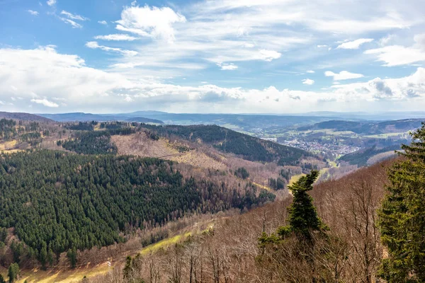 Thüringen Ormanı 'ndan geçen bahar yürüyüşü Floh-Seligenthal - Thüringen - Almanya