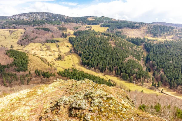 Thüringen Ormanı 'ndan geçen bahar yürüyüşü Floh-Seligenthal - Thüringen - Almanya