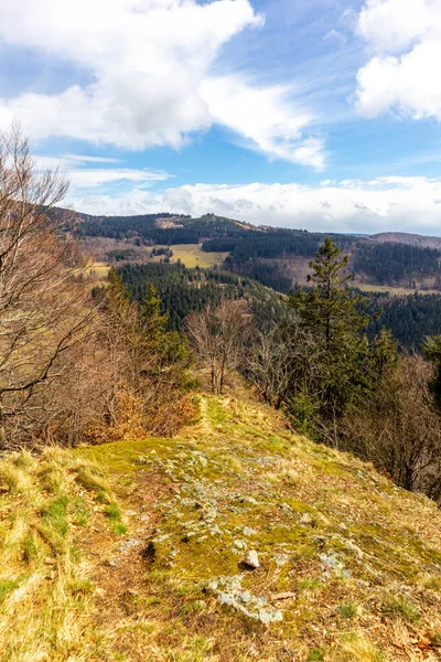 Caminata Primavera Por Bosque Turingia Cerca Floh Seligenthal Turingia Alemania — Foto de Stock