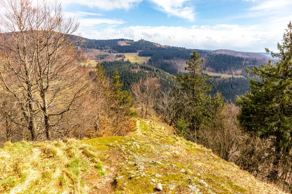 Thüringen Ormanı 'ndan geçen bahar yürüyüşü Floh-Seligenthal - Thüringen - Almanya