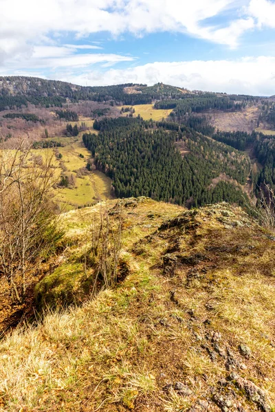 Thüringen Ormanı 'ndan geçen bahar yürüyüşü Floh-Seligenthal - Thüringen - Almanya