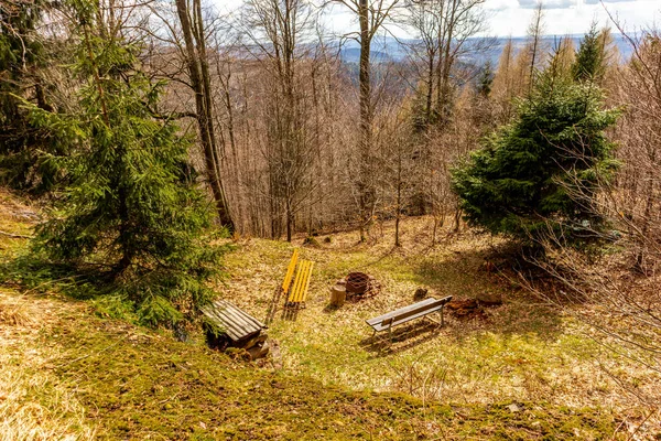 Thüringen Ormanı 'ndan geçen bahar yürüyüşü Floh-Seligenthal - Thüringen - Almanya