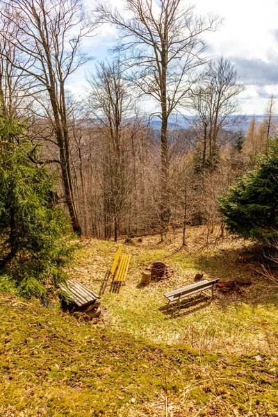 Thüringen Ormanı 'ndan geçen bahar yürüyüşü Floh-Seligenthal - Thüringen - Almanya