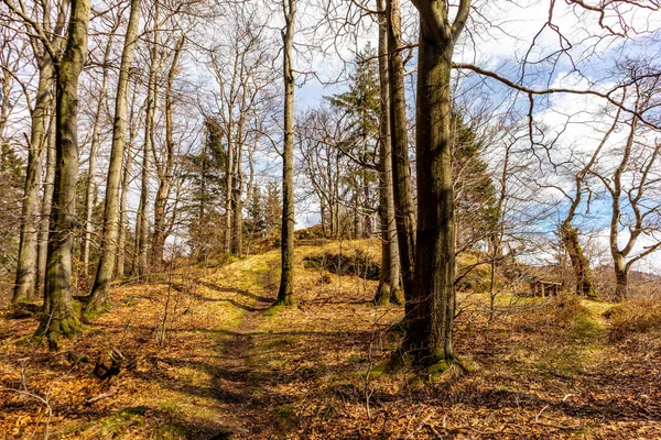 Thüringen Ormanı 'ndan geçen bahar yürüyüşü Floh-Seligenthal - Thüringen - Almanya