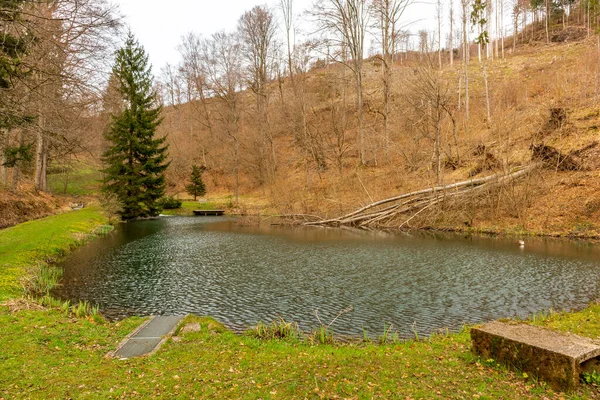 Spring Hike Thuringian Forest Floh Seligenthal Thuringia Germany — ストック写真