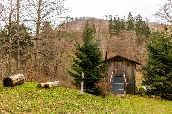 Thüringen Ormanı 'ndan geçen bahar yürüyüşü Floh-Seligenthal - Thüringen - Almanya