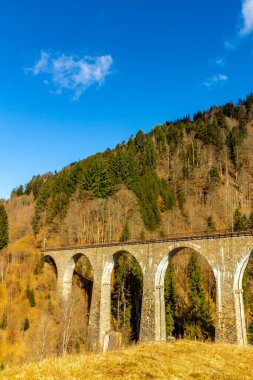 Feldberg 'in Kara Orman' daki keşif turu - Baden-Wrttemberg - Almanya