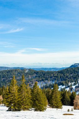Feldberg 'in Kara Orman' daki keşif turu - Baden-Wrttemberg - Almanya