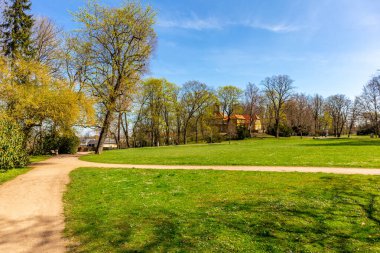Gotha, Thüringen ve Almanya 'da park manzarasında sıcak bir gün.