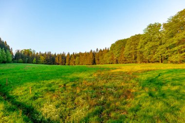 Fantastic sunset on the heights of the Thuringian Forest around the Rennsteig and enjoy the beautiful nature at the same time.