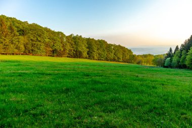 Rennsteig 'in etrafındaki Thuringian Ormanı' nın tepelerinde fantastik bir günbatımı ve aynı zamanda güzel doğanın tadını çıkarmak..