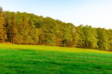 Rennsteig 'in etrafındaki Thuringian Ormanı' nın tepelerinde fantastik bir günbatımı ve aynı zamanda güzel doğanın tadını çıkarmak..