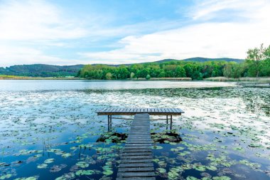Breitungen Gölü 'nde yaz yürüyüşü muhteşem güneş ışığı altında - Thüringen - Almanya