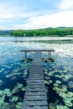 Breitungen Gölü 'nde yaz yürüyüşü muhteşem güneş ışığı altında - Thüringen - Almanya