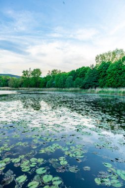 Breitungen Gölü 'nde yaz yürüyüşü muhteşem güneş ışığı altında - Thüringen - Almanya