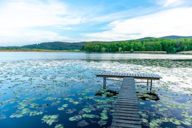Breitungen Gölü 'nde yaz yürüyüşü muhteşem güneş ışığı altında - Thüringen - Almanya