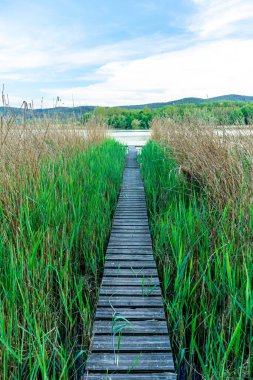 Breitungen Gölü 'nde yaz yürüyüşü muhteşem güneş ışığı altında - Thüringen - Almanya