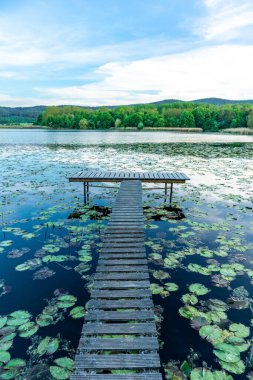 Breitungen Gölü 'nde yaz yürüyüşü muhteşem güneş ışığı altında - Thüringen - Almanya