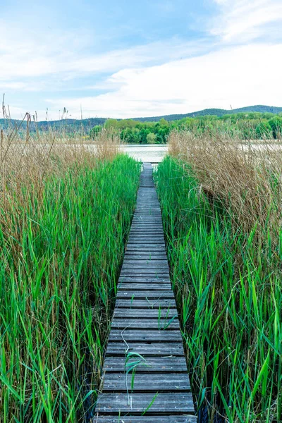 Breitungen Gölü 'nde yaz yürüyüşü muhteşem güneş ışığı altında - Thüringen - Almanya