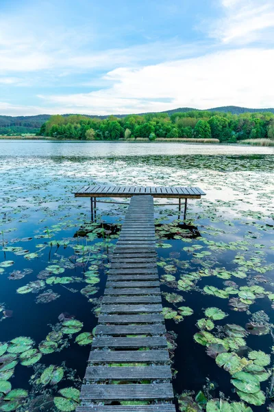 Breitungen Gölü 'nde yaz yürüyüşü muhteşem güneş ışığı altında - Thüringen - Almanya