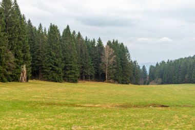 Zella-Mehlis yakınlarındaki Thuringian Ormanı 'ndaki Ruppberg' e yürüyüş - Almanya