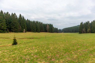 Zella-Mehlis yakınlarındaki Thuringian Ormanı 'ndaki Ruppberg' e yürüyüş - Almanya