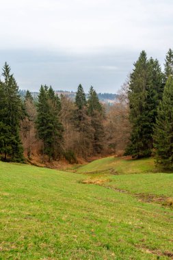 Zella-Mehlis yakınlarındaki Thuringian Ormanı 'ndaki Ruppberg' e yürüyüş - Almanya