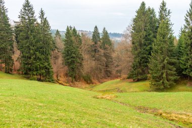 Zella-Mehlis yakınlarındaki Thuringian Ormanı 'ndaki Ruppberg' e yürüyüş - Almanya