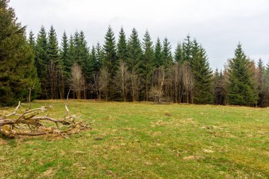 Zella-Mehlis yakınlarındaki Thuringian Ormanı 'ndaki Ruppberg' e yürüyüş - Almanya