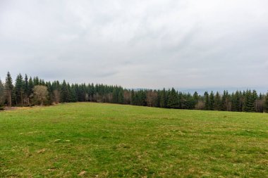 Zella-Mehlis yakınlarındaki Thuringian Ormanı 'ndaki Ruppberg' e yürüyüş - Almanya