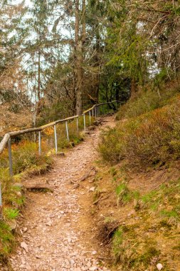 Zella-Mehlis yakınlarındaki Thuringian Ormanı 'ndaki Ruppberg' e yürüyüş - Almanya