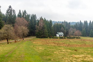 Zella-Mehlis yakınlarındaki Thuringian Ormanı 'ndaki Ruppberg' e yürüyüş - Almanya