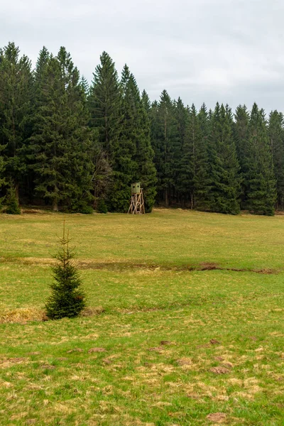 Zella-Mehlis yakınlarındaki Thuringian Ormanı 'ndaki Ruppberg' e yürüyüş - Almanya