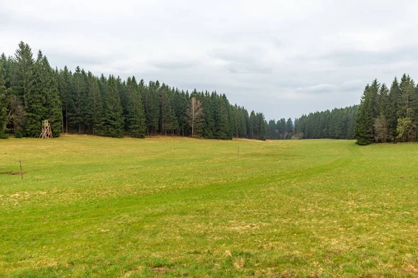 Zella-Mehlis yakınlarındaki Thuringian Ormanı 'ndaki Ruppberg' e yürüyüş - Almanya
