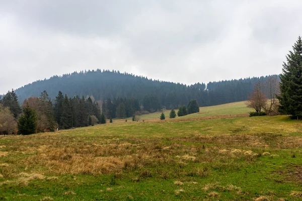 Wanderung Auf Den Ruppberg Thüringer Wald Bei Zella Mehlis — Stockfoto