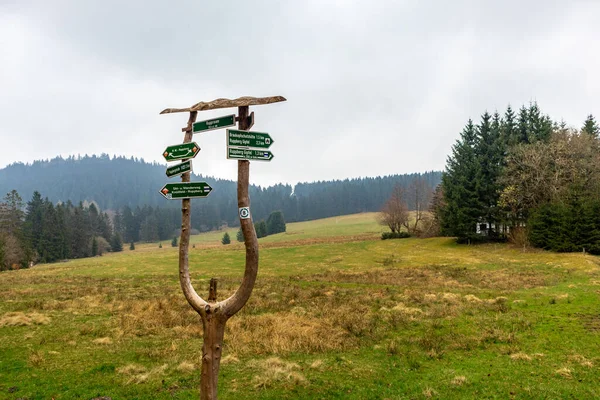 Wanderung Auf Den Ruppberg Thüringer Wald Bei Zella Mehlis — Stockfoto