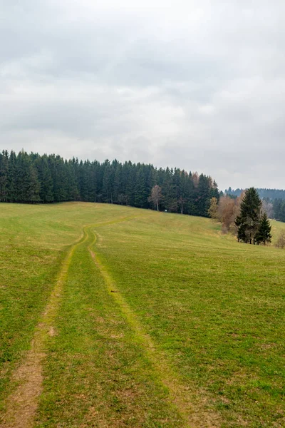 Подорож Руппбергу Туринзькому Лісі Поблизу Зелла Меліса Німеччина — стокове фото