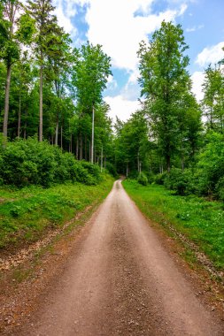 Thüringen Ormanı 'ndaki Oberhof yakınlarındaki yüksek kırlara yürüyün.